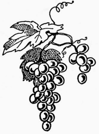 332x448 Vector Clip Art