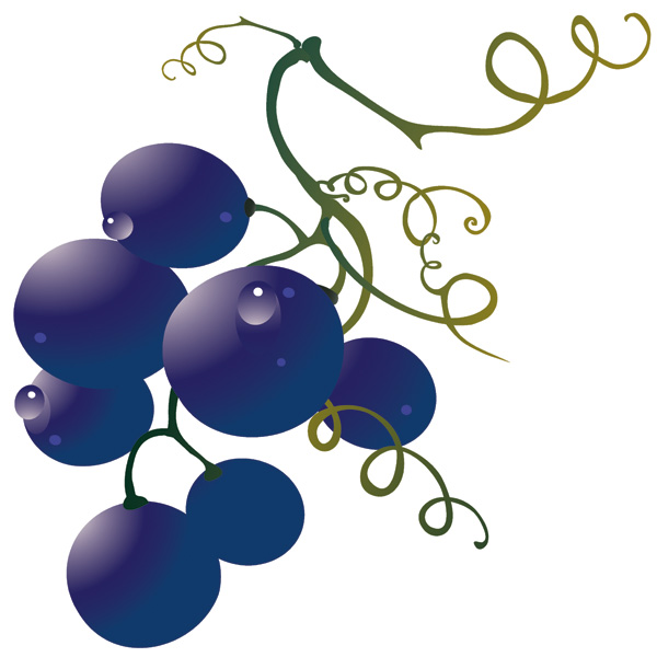 600x600 Wine And Grape Vectors Free Vector 4vector