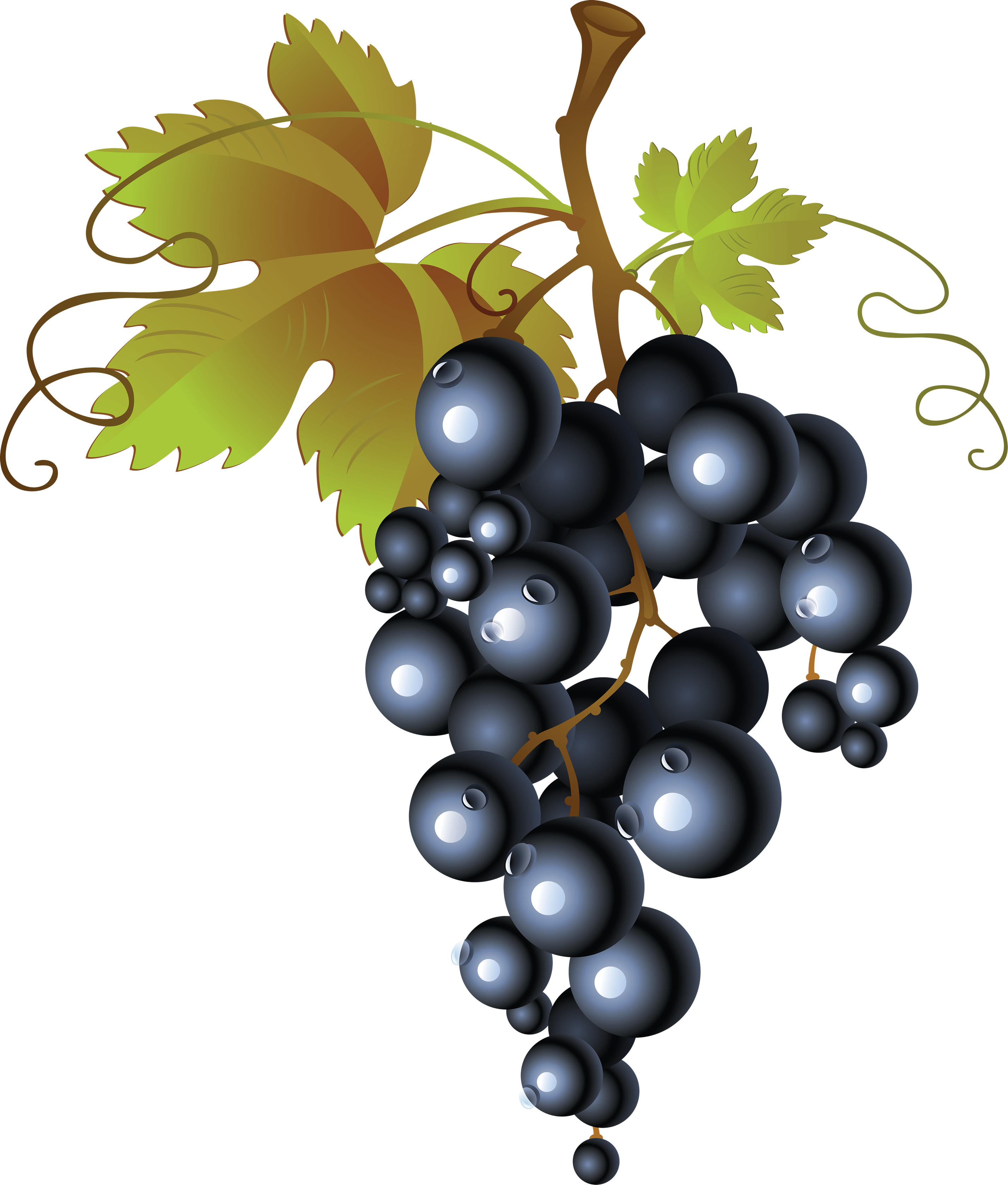 2858x3360 Grape Clipart Transparent Background