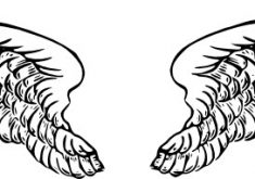235x165 Glamorous Wings Clip Art Angel Wing Templates Clipart Kid