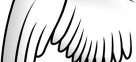 272x125 Best Angel Wings Clip Art Ideas Angel Wings