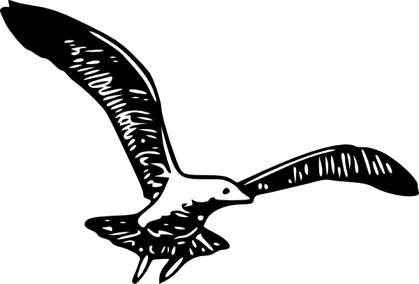 600x407 Bird Wings Clipart