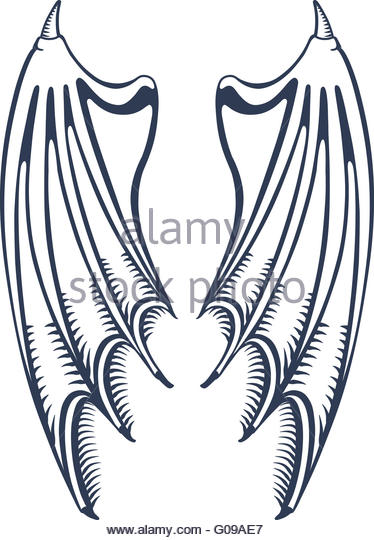 374x540 Black Outline On Wings Stock Photos Amp Black Outline On Wings Stock