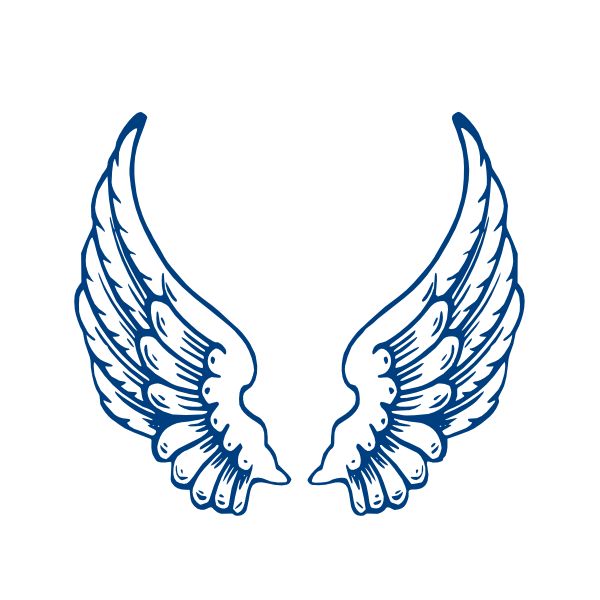 600x600 Large Wings Clipart