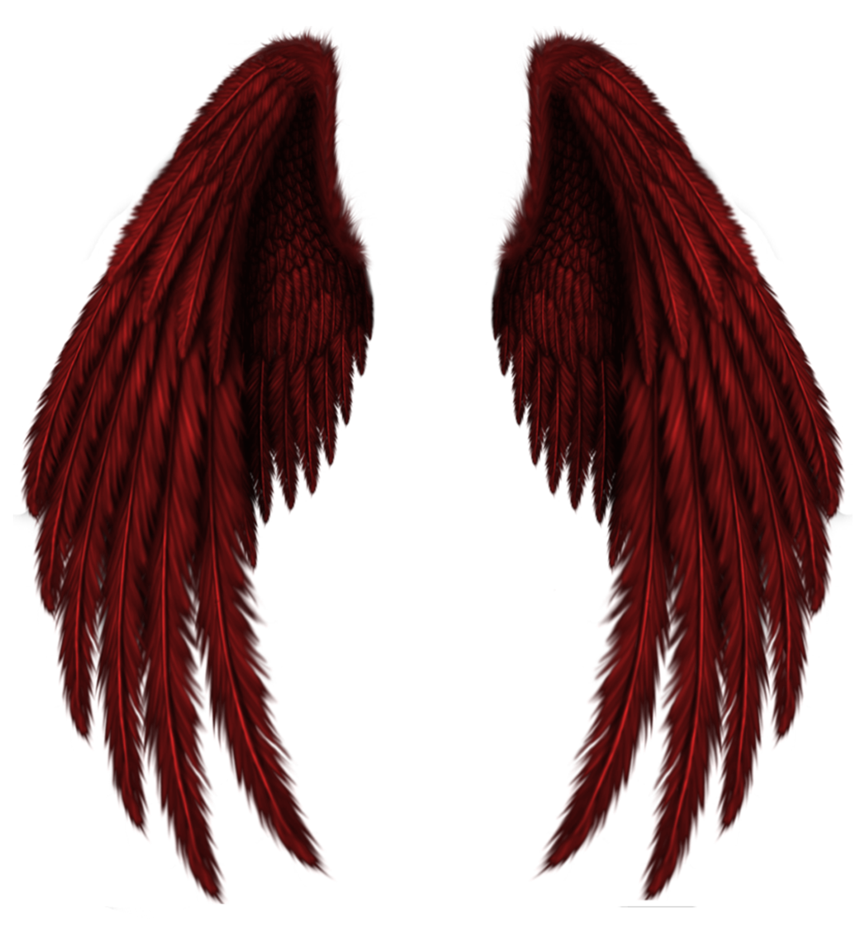1731x1859 Transparent Red Wings Png Clipart Pictureu200b Gallery Yopriceville