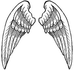 236x223 Wings Clipart Outline