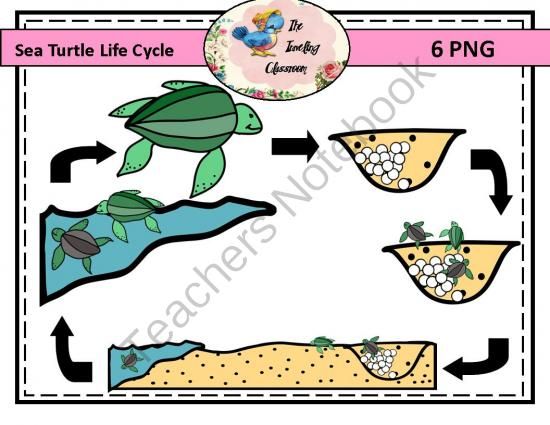 550x425 36 Best Clip Art Images Clip Art, Commercial