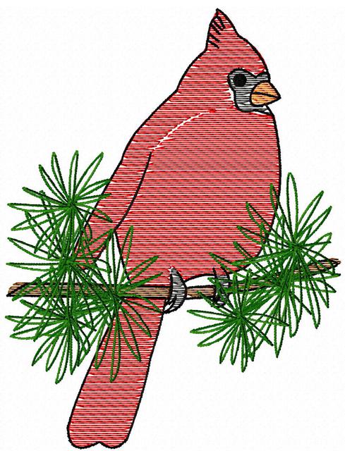 489x640 Cardinal On Branch Sketch Embroidery Design