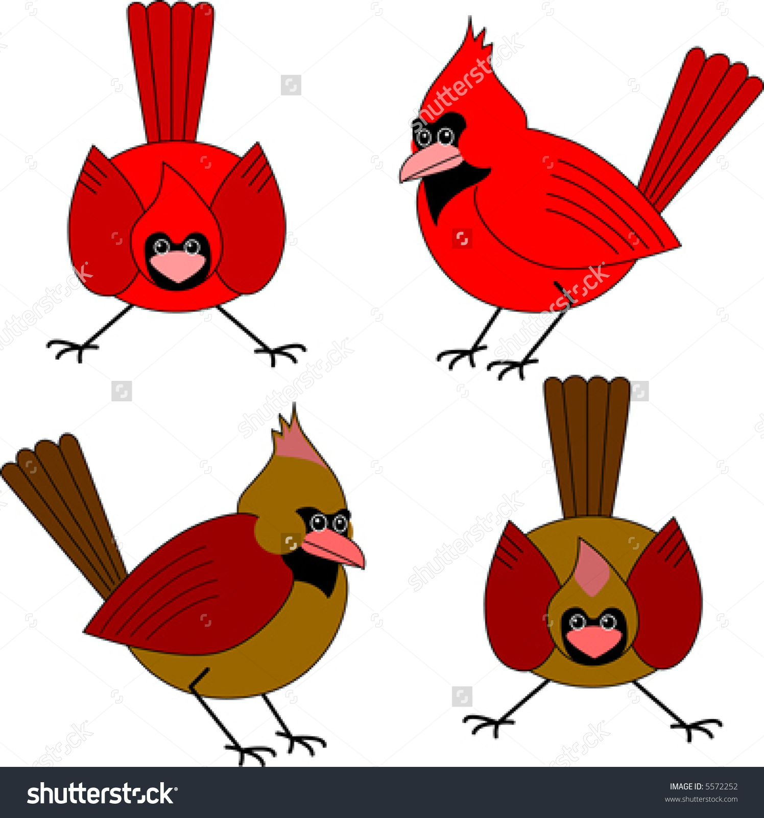 1496x1600 Male Cardinal Clipart
