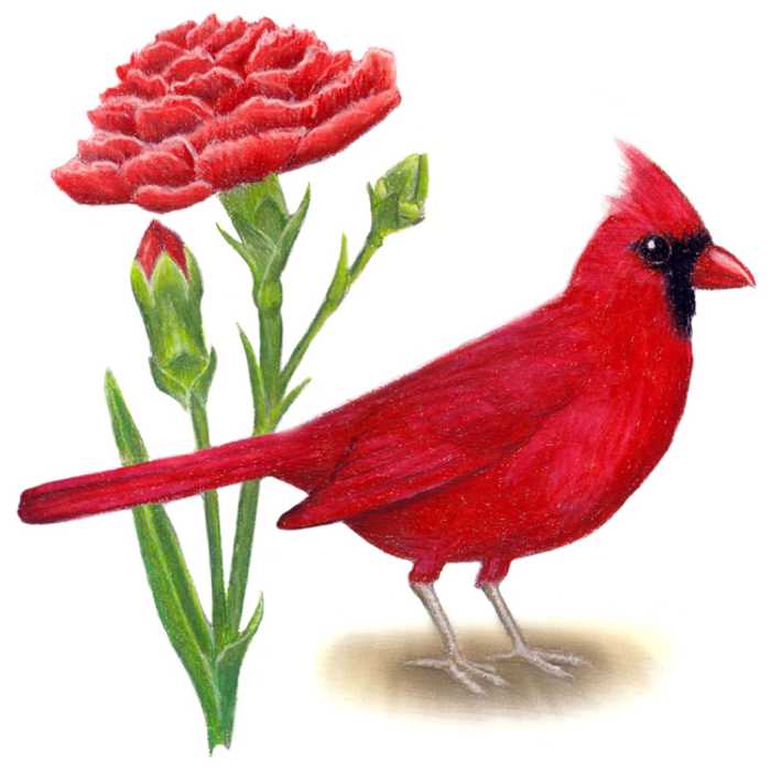 700x712 Ohio State Clip Art