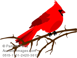 300x227 Art Illustration Of A Red Cardinal Sitting On A Winter Tree Branch