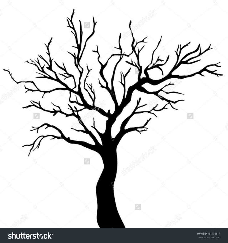 Winter Trees Clipart