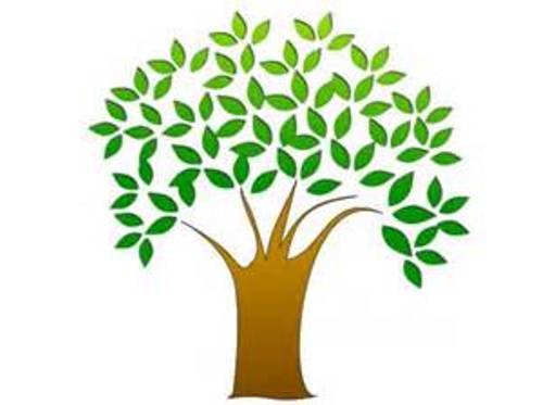 500x373 Free Clipart Tree