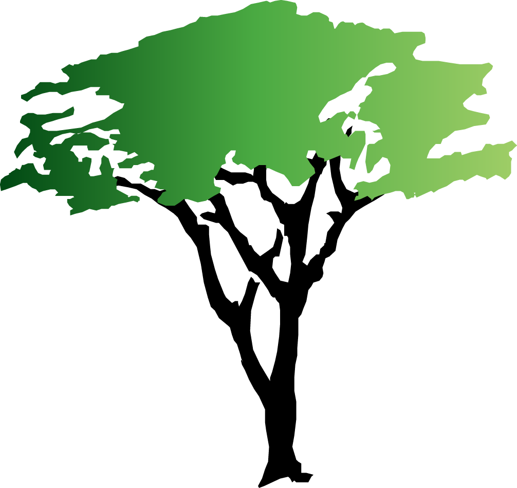 1006x949 Trees Tree Clipart Free Clipart Images