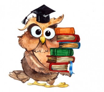 342x304 Wisdom Clipart Wise Owl