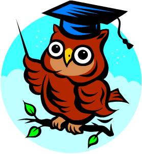 278x301 Wise Owl The People Equation