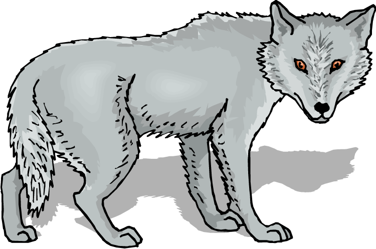 750x497 Gray Wolf Clip Art Free Clipart Images 2