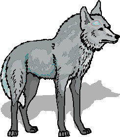 245x278 Top 93 Gray Wolf Clip Art