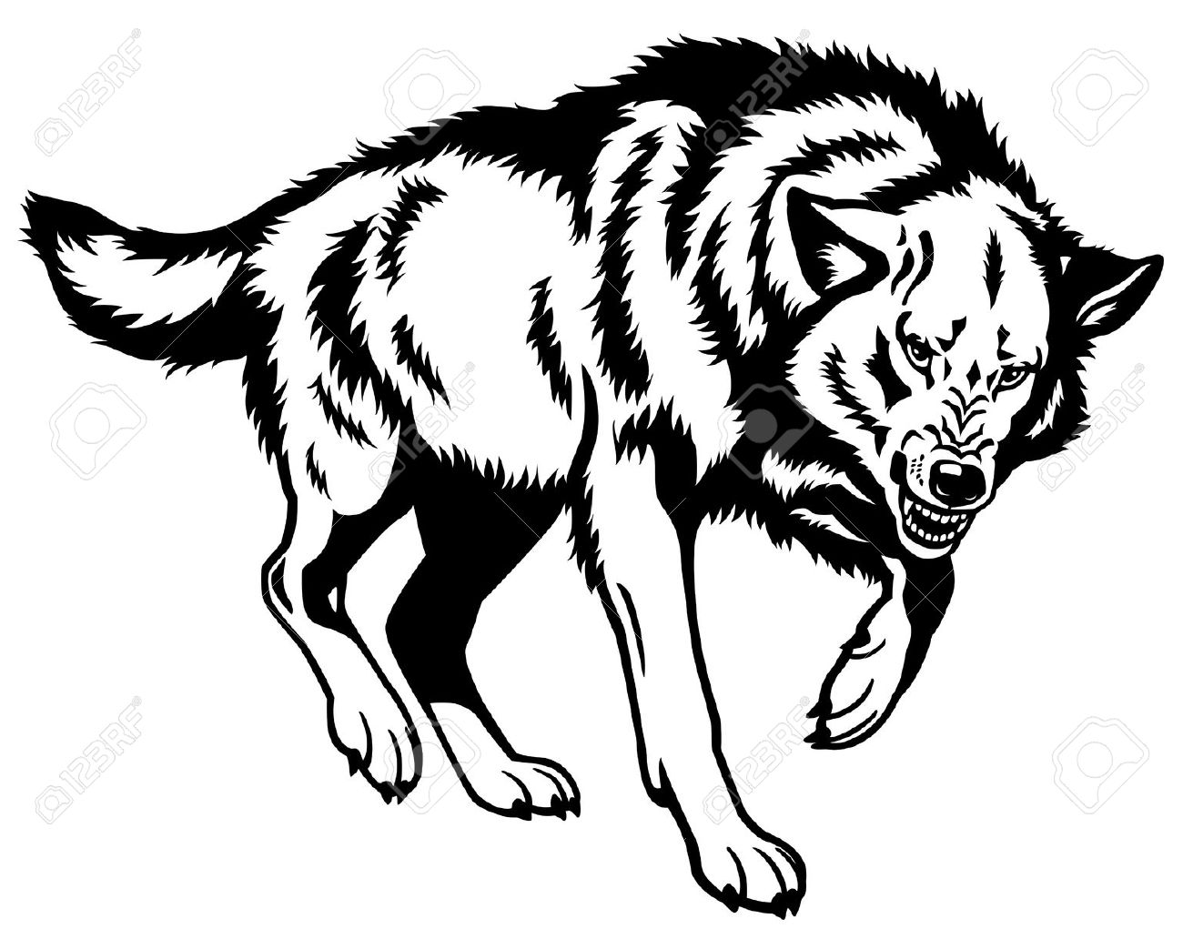 1300x1032 Gray Wolf Clip Art