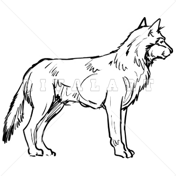 361x361 Wolves Clipart Black And White