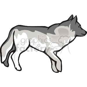 300x300 Royalty Free 3 The Wolf 131624 Clip Art Images, Illustrations