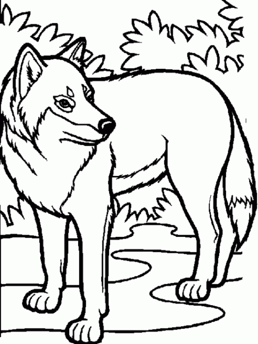 518x690 Wolf Coloring Pages Pups Animal Coloring Pages