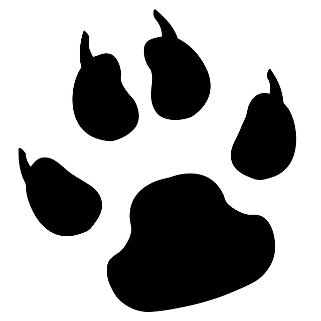 640x640 Panther Paw Print Clip Art