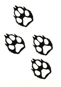 236x334 Wolf Paw Print Stencil White Wolf Paw Prints Vinyl Decals