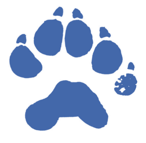 511x501 Daily Bell Times