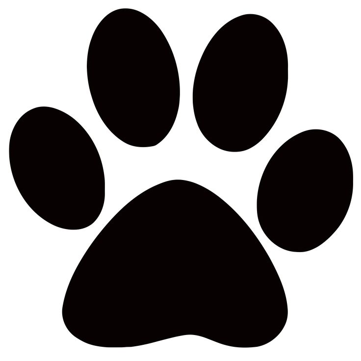 736x736 Gray Clipart Paw Print
