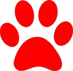 254x245 Oltre 25 Fantastiche Idee Su Wolf Paw Print Su