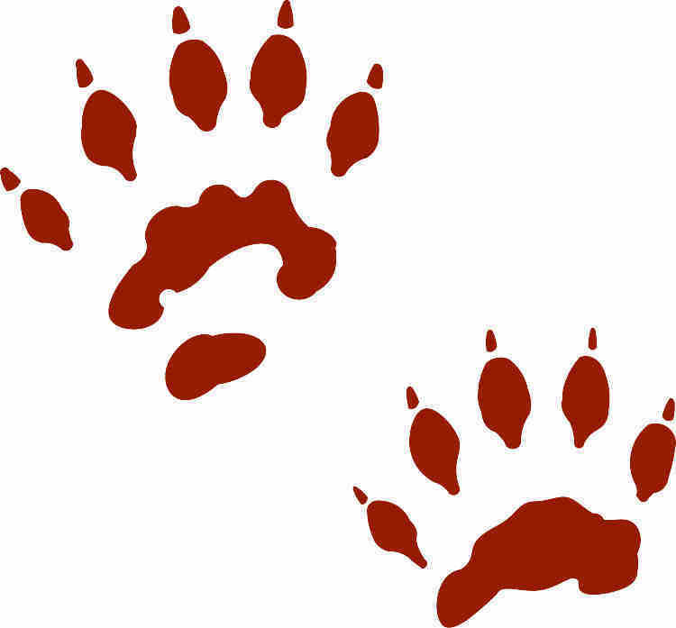 750x697 Wolverine Track Footprint Sticker Realistic Paw Print Decal