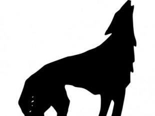 310x233 Angry Wolf Art Free Vector Free Vectors Ui Download