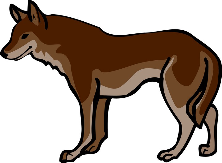 720x527 Animated Wolves Cliparts 173833