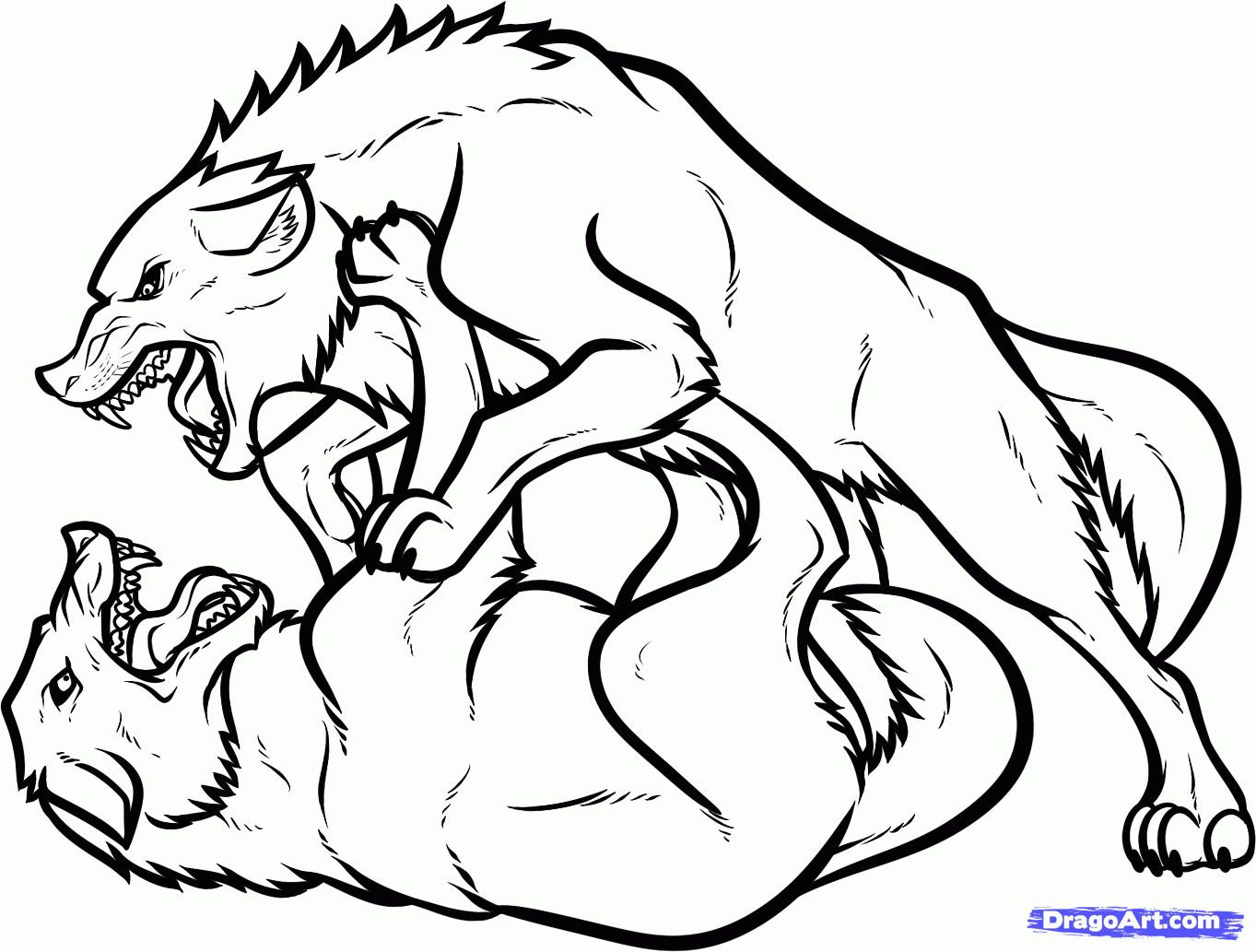 1363x1033 Coloring Pages Anime Wolfs Draw Fighting Wolves, Wolf Fight
