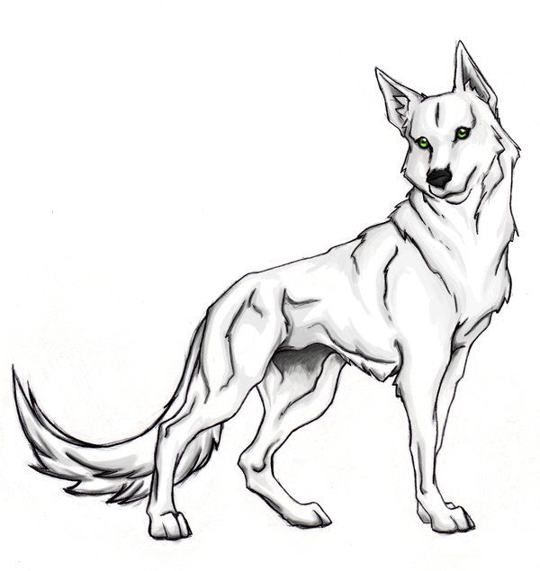 600x635 25 Best Wolf Coloring Pages Images Drawings, Free
