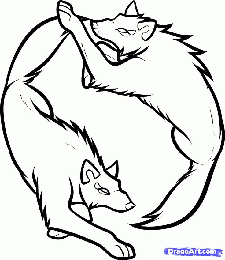 736x849 75 Best Draw(Wolvesdogs) Images Drawing, Drawings