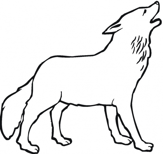 556x525 Gallery Wolf Outline Printable,