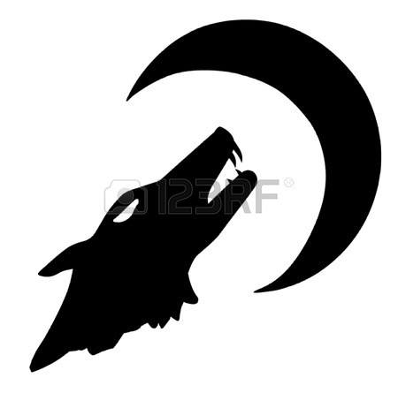 450x445 362 Lupine Stock Illustrations, Cliparts And Royalty Free Lupine