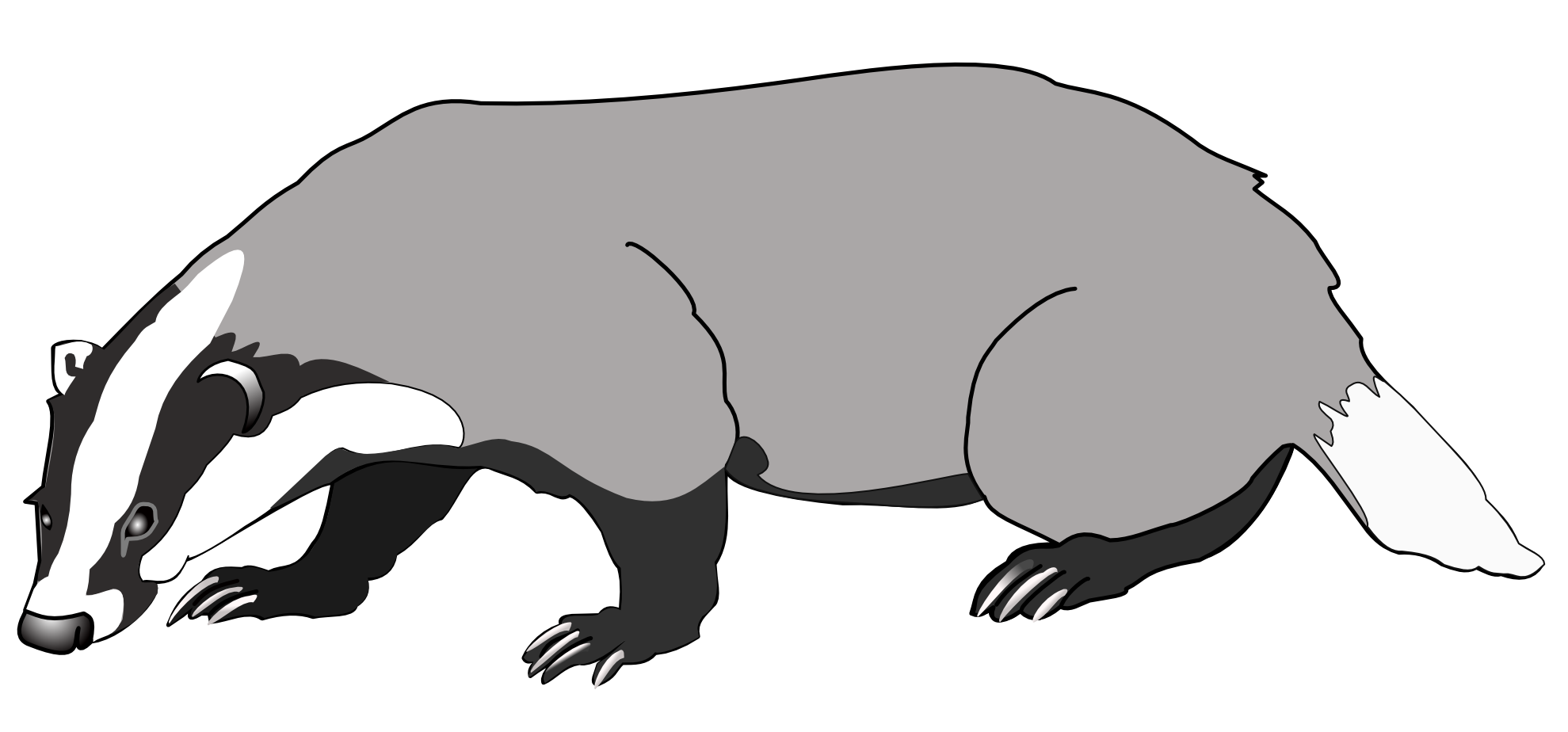 1979x924 Honey Badger Clipart Drawn