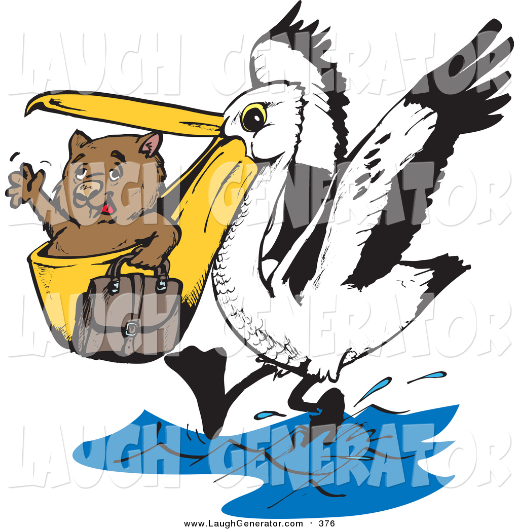 1024x1044 Wombat Clip Art