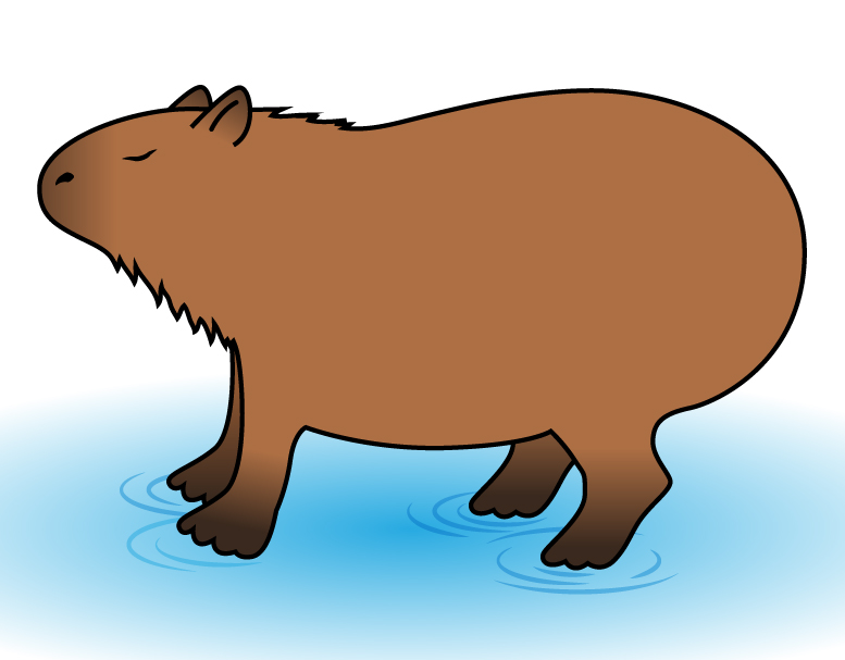 777x607 Capybara Clipart Cartoon