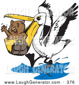 164x175 Royalty Free Stock Humor Designs Of Australian Animals