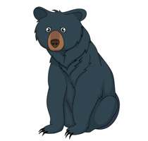 210x200 Top 86 Bear Clipart