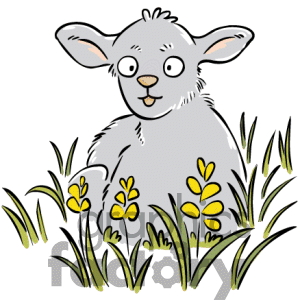 300x300 Wombat 20clipart Clipart Panda