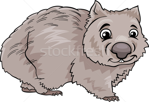 600x412 Wombat Stock Vectors, Illustrations And Cliparts Stockfresh