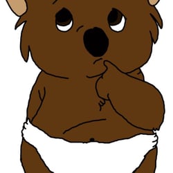 250x250 Wombat Wash Diaper Service