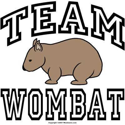 400x400 Wombat Ferrebeekeeper