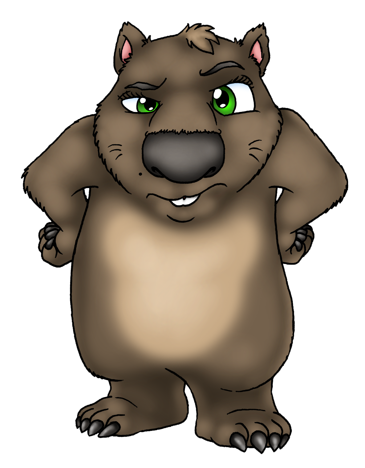 1185x1518 Wombat Clip Art