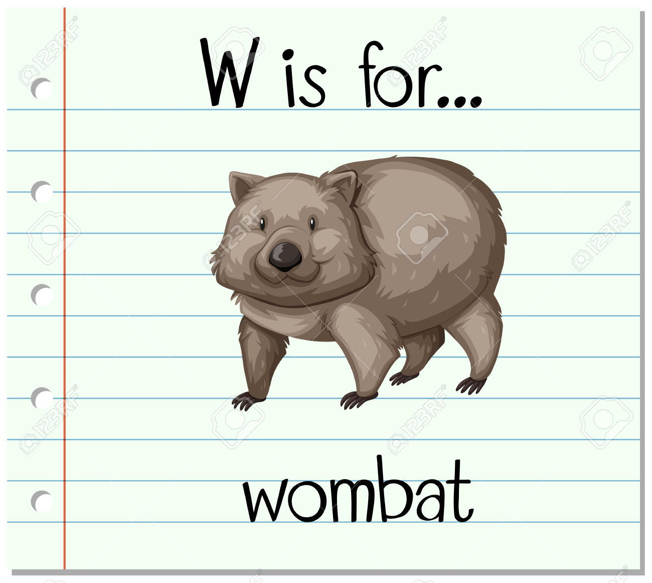 1300x1161 Wombat Clipart